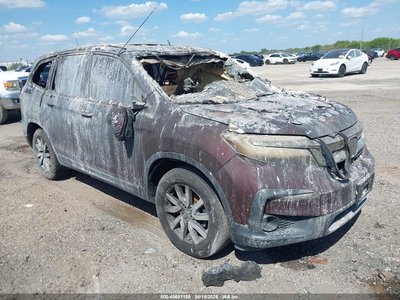 5FNYF5H57KB****** 2019 Honda Pilot