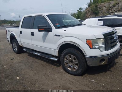 2009 Ford F-150