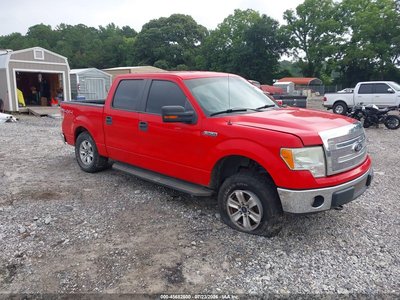 1FTFW1EFXDF****** 2013 Ford F-150