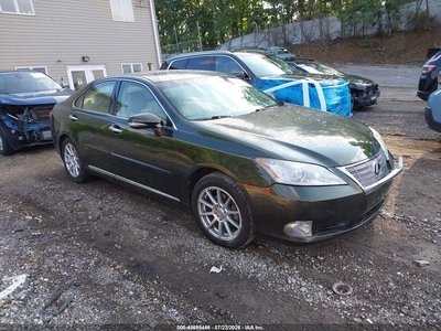 2010 Lexus ES 350
