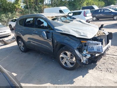 5NMS2DAJ0PH****** 2023 Hyundai Santa Fe