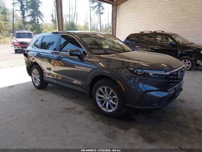 2HKRS4H79RH****** 2024 Honda CR-V