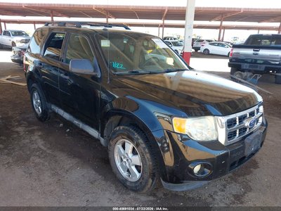 2010 Ford Escape