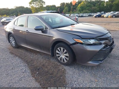 4T1C31AK0LU****** 2020 Toyota Camry Hybrid