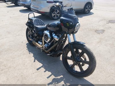 2025 Harley-Davidson Street Bob