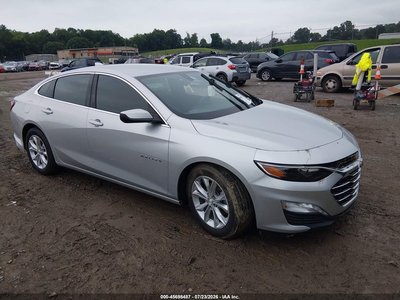 1G1ZD5ST3KF****** 2019 Chevrolet Malibu