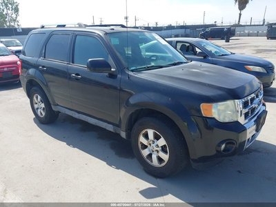 1FMCU94G59K****** 2009 Ford Escape