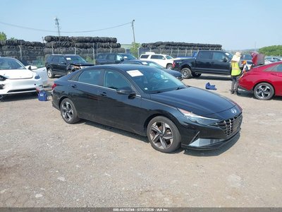 5NPLP4AG7PH****** 2023 Hyundai Elantra