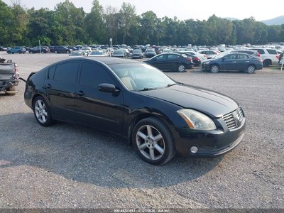 1N4BA41EX6C****** 2006 Nissan Maxima