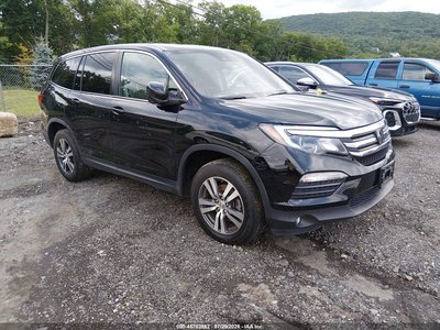 5FNYF6H64GB****** 2016 Honda Pilot