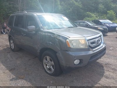 5FNYF4H43BB****** 2011 Honda Pilot