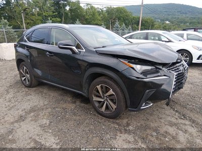 JTJBARBZ5K2****** 2019 Lexus NX 300