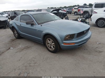 1ZVFT80NX65****** 2006 Ford Mustang