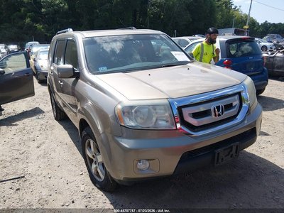 5FNYF4H53AB****** 2010 Honda Pilot