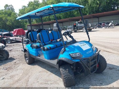 000000LTA00****** 2022 ICON Electric Vehicles Golf Cart