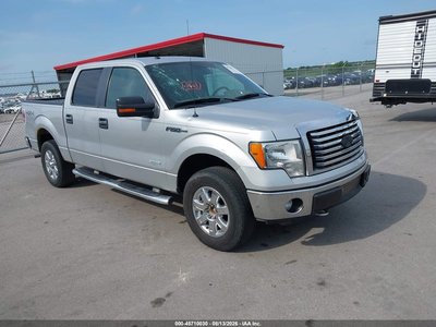 1FTFW1ET1BF****** 2011 Ford F-150
