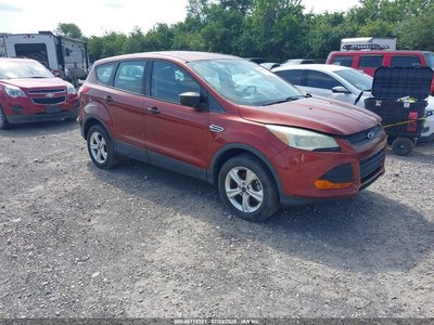 1FMCU0F79EU****** 2014 Ford Escape