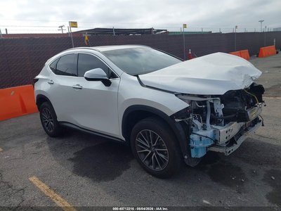 JTJGKCEZ7R2****** 2024 Lexus NX