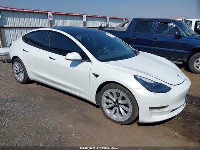 5YJ3E1EB1MF****** 2021 Tesla Model 3