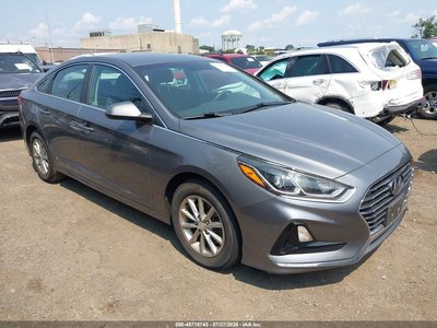 5NPE24AF7KH****** 2019 Hyundai Sonata