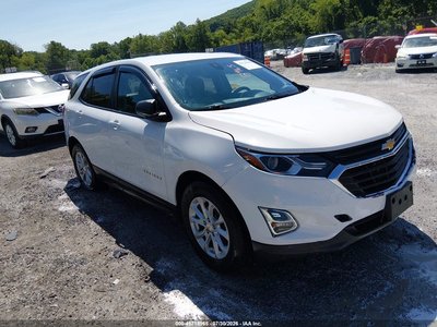 3GNAXSEV2LS****** 2020 Chevrolet Equinox