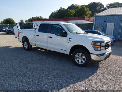 1FTFW1ED3PF****** 2023 Ford F-150