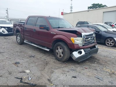 1FTFW1CV0AF****** 2010 Ford F-150