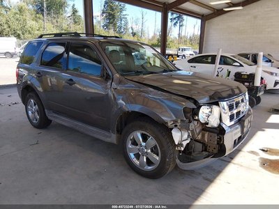 2010 Ford Escape