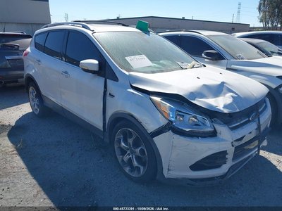 1FMCU0JX0EU****** 2014 Ford Escape