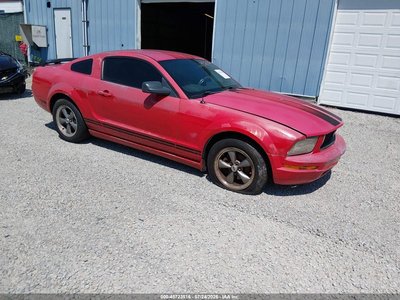 1ZVFT80N655****** 2005 Ford Mustang