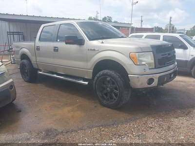 1FTEW1E81AF****** 2010 Ford F-150