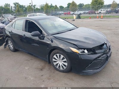 4T1C31AK7LU****** 2020 Toyota Camry Hybrid
