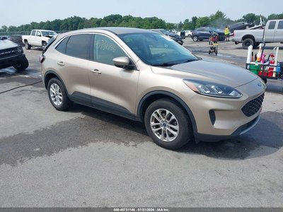 1FMCU9G69MU****** 2021 Ford Escape