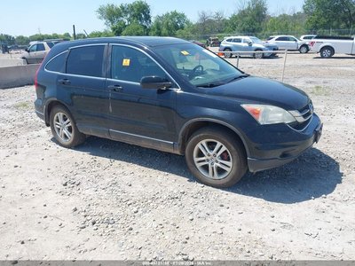5J6RE4H77AL****** 2010 Honda CR-V
