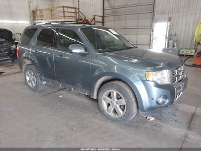 2011 Ford Escape