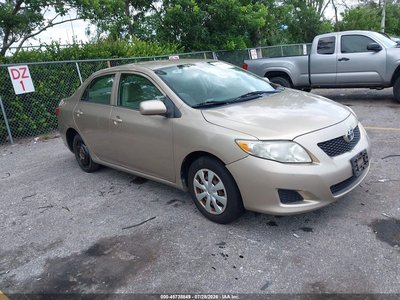 1NXBU40E09Z****** 2009 Toyota Corolla