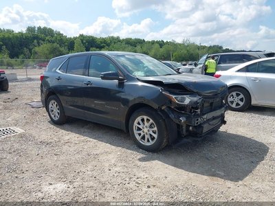 3GNAXJEV3KL****** 2019 Chevrolet Equinox