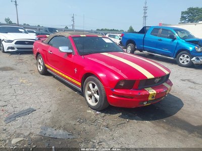 1ZVFT84N855****** 2005 Ford Mustang