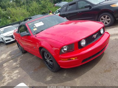 1ZVFT85H965****** 2006 Ford Mustang