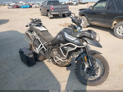 SMTE65DF2LT****** 2020 Triumph Tiger