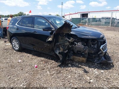 2GNAXKEV3K6****** 2019 Chevrolet Equinox