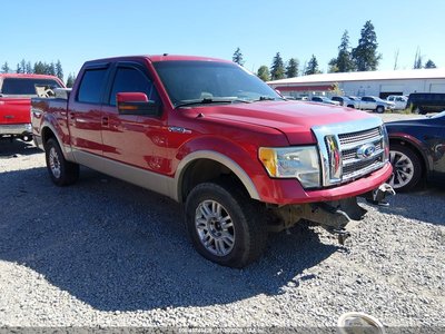 1FTFW1EVXAF****** 2010 Ford F-150