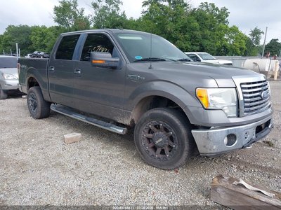2010 Ford F-150
