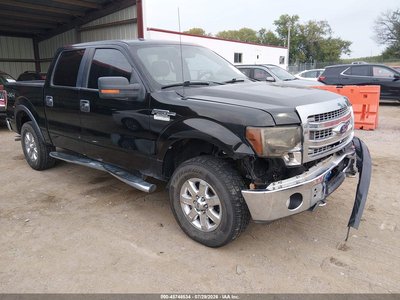 1FTFW1EF7DK****** 2013 Ford F-150