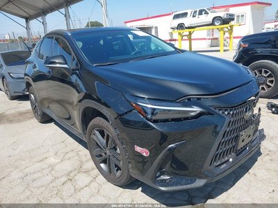 JTJHKCFZXS2****** 2025 Lexus NX