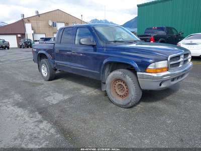 1D7HG48N84S****** 2004 Dodge Dakota