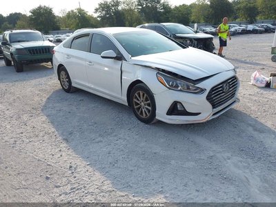 5NPE24AF6KH****** 2019 Hyundai Sonata