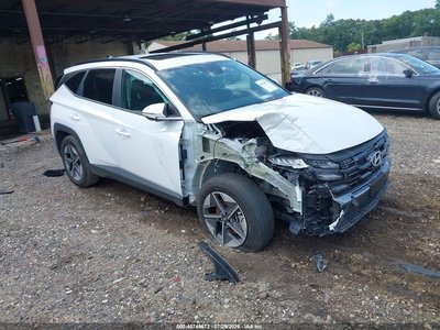 3KMJCCDE2SE****** 2025 Hyundai Tucson
