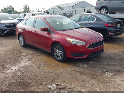 1FADP3F26GL****** 2016 Ford Focus