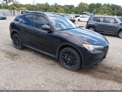 ZASPAKBN3K7****** 2019 Alfa Romeo Stelvio